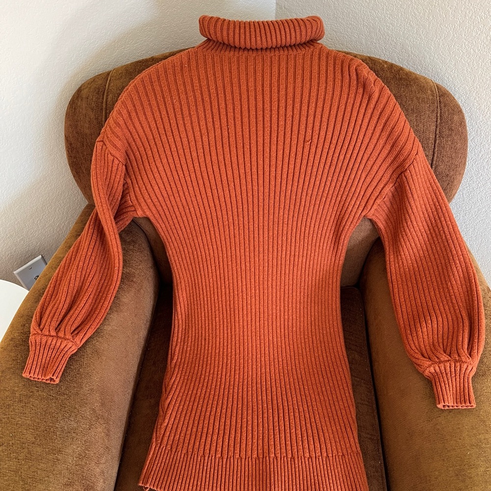 Turtle-neck Sweater Dress